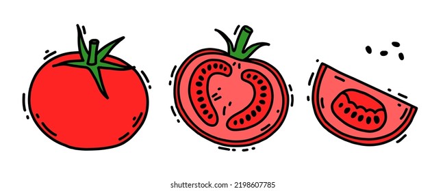 Set of a whole tomato, sliced, pieces of a tomato. Vegetable sketch. Vector doodle illustration