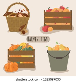 A set of wicker baskets, buckets and a wooden box full of fresh vegetables and fruits. Vector illustration. Flat design. Gardening concept, autumn harvest. Ideal for packaging designs and postcards 