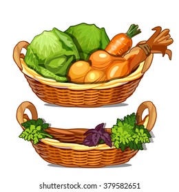 A set of wicker baskets with ripe vegetables and herbs isolated on a white background. Vector cartoon close-up illustration.