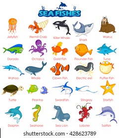 Set of wide variety of sea fish in vector