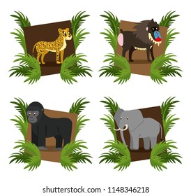 Set of wild african animals