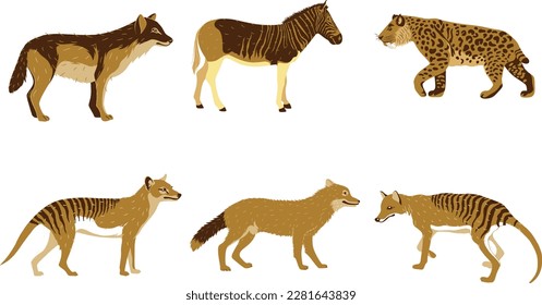 Set of wild african animals isolated on white background. Vector illustration.