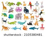 Set of wild animal cartoon illustrations
