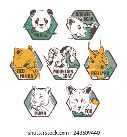 Set of Wild Animal Colored Labels Collection for your design