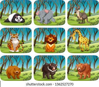Set of wild animal in forest illustration