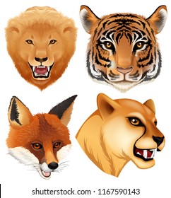 A set of wild animal head illustration