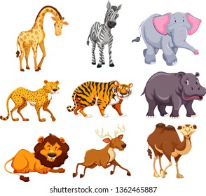 Set Wild Animal Illustration Stock Vector (Royalty Free) 1362465887 ...