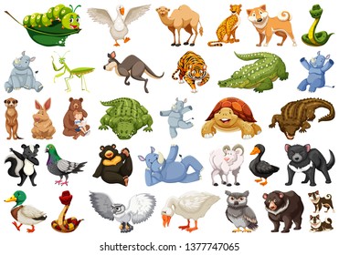 Set of wild animal illustration