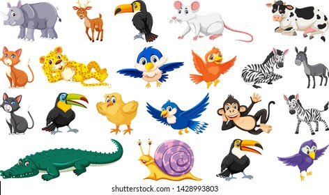 Set of wild animal illustration