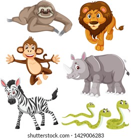 Set of wild animal illustration