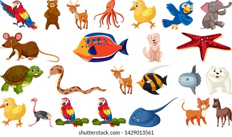 Set of wild animal illustration