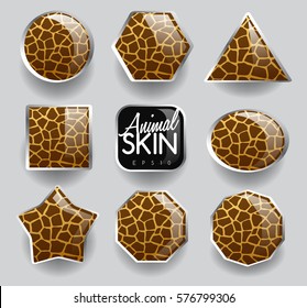 Set of Wild Animal Skin Icons : Vector Illustration