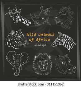 Set of wild animals of Africa in sketch style on a dark background. Vector illustration for your design