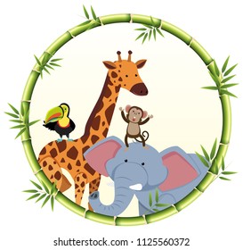Un conjunto de ilustraciones de borde de animales salvajes