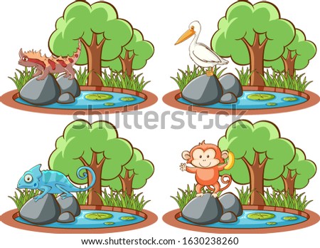 Similar – Image, Stock Photo Chameleon Animal Tree