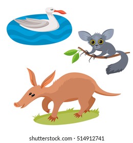 Set of wild animals in cartoon style, vector illustration of albatross, aardvark and aye-aye isolated on white background. Cute zoo.