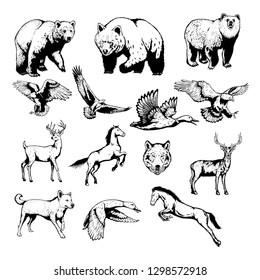 Set of wild animals with Hand drawn vector illustration