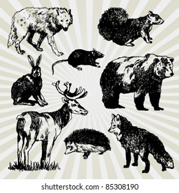 Set of Wild Animals Hand Drawn