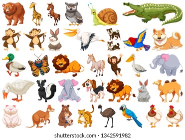 Set of wild animals illustration