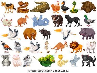 Set of wild animals illustration