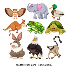 Set of wild animals illustration