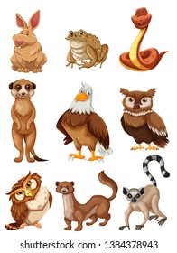 Set of wild animals illustration