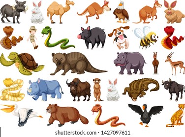 Set of wild animals illustration