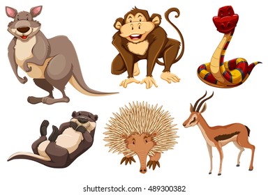 Set of wild animals illustration