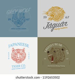 Set of wild animals logos. Grunge label print. Japanese Tiger and leopard, Asian cat, wolf and Grizzly Bear. Angry roar. Badge or emblem Engraved hand drawn old monochrome Vintage face sketch t-shirt.