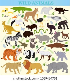 Set of wild animals on a white background 