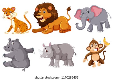 A set of wild animals on white background illustration