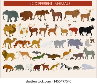 Set of wild animals on a white background