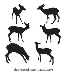 Set of wild animals. Silhouette of beautiful stylized cartoon deer on white background. Vector illustration.
