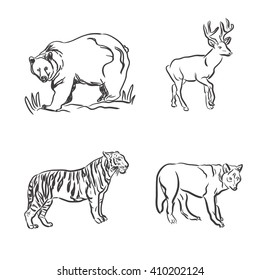 set of wild animals in sketch style, vector illustration