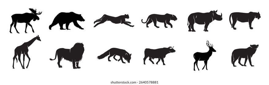 set of wild animals vector illustration