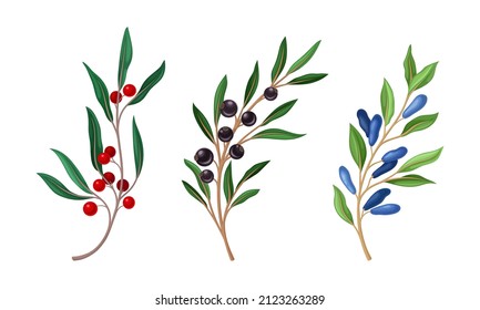 Wildbeeren-Reihe, Zweige. Rote, schwarze Vogelkirsche und Honeysuckle-Äste Vektorgrafik
