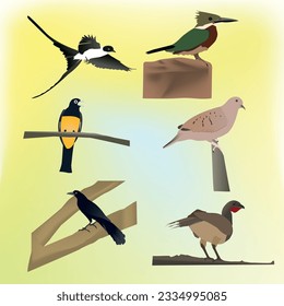 Set of Wild Birds of Central America