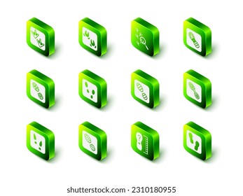 Set Wild boar paw footprint, Bird, Human footprints shoes, Square measure size and  icon. Vector