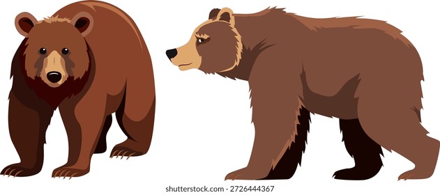 Set von Wild Brown Bear Vorder- und Seitenansicht