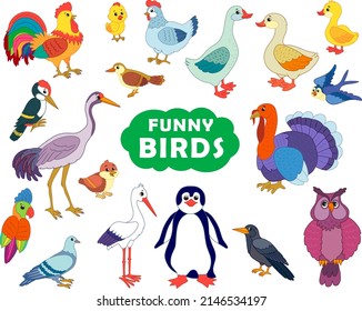 set of wild and domestic birds in a funny cartoon style. vector illustration