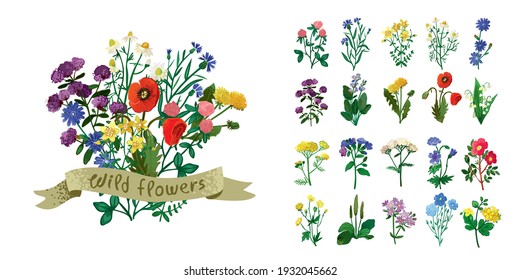 Set of wild field herbs, flowers for bouquets in a botanical style isolated on white. Collection of medicinal plants with leaves, flowers, buds for cards, poster, wedding card. Vector illustration.