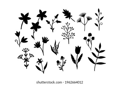 Set of wild field herbs and flowers isolated on white background. The botanical elements are hand-drawn in black ink. Vector illustration of silhouettes of plants. Ready-made template for label, print