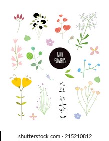 Set of wild flowers