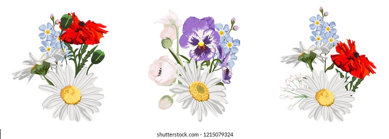 Set of wild flowers bouquets, Chamomile (Daisy), buds, red poppy, viola and forget-me-not. Botanical illustration on white background for design, hand draw illustration in vintage style.