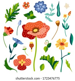 Set of wild flowers in flat stylized style. Colorful detailed drawing of meadow herbs. Botanical wildflowers and leaves isolated on background. Vector hand drawing illustration
