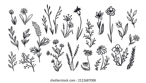 Set of wild flowers hand drawn in doodle style, vintage.Vector illustration.Black lines on white background.Different flowers for your design in retro style,hand made.