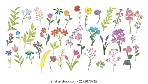 Set of wild flowers and herbs. Pattern for fabric flower field. Vector illustration, abstract, doodle.