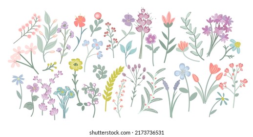 Conjunto de flores silvestres aisladas sobre el doodle de fondo blanco. Ilustración vectorial.