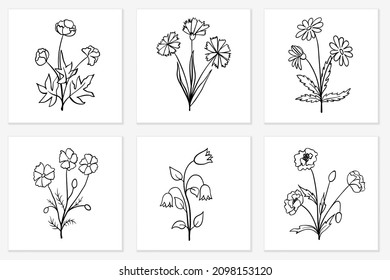 Flores silvestres aisladas en blanco. Esbozo floral dibujado a mano, diseño de contorno negro, estilo doodle. Elementos de hierba vectorial para el paquete de productos orgánicos, ilustración de la naturaleza, botánica, libro de colorantes