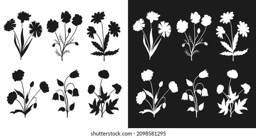 Flores silvestres aisladas silueta. Esbozo floral dibujado a mano, sello negro, estilo minimalista. Elementos de hierba vectorial para el paquete de productos orgánicos, esténcil, ilustración de herbario, impresión de pantalla.